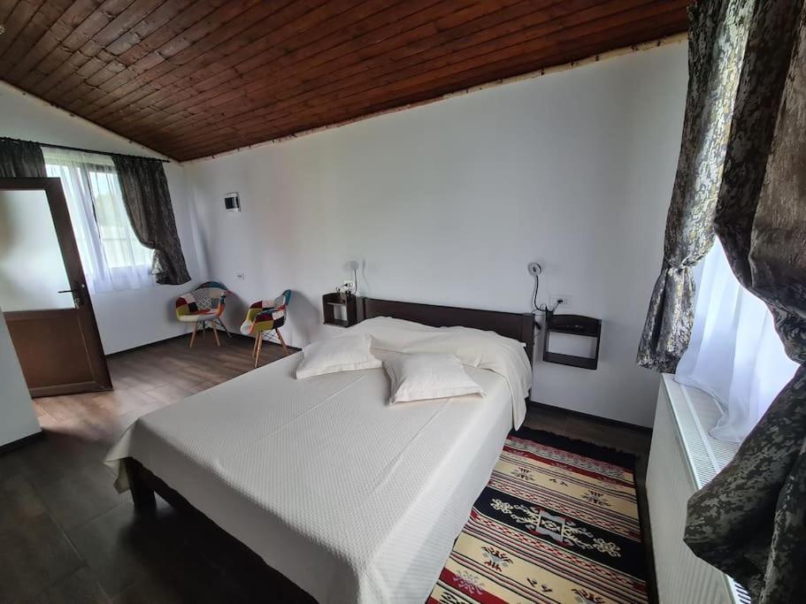 Rîşnov Cabana Bujor De Munte מראה חיצוני תמונה