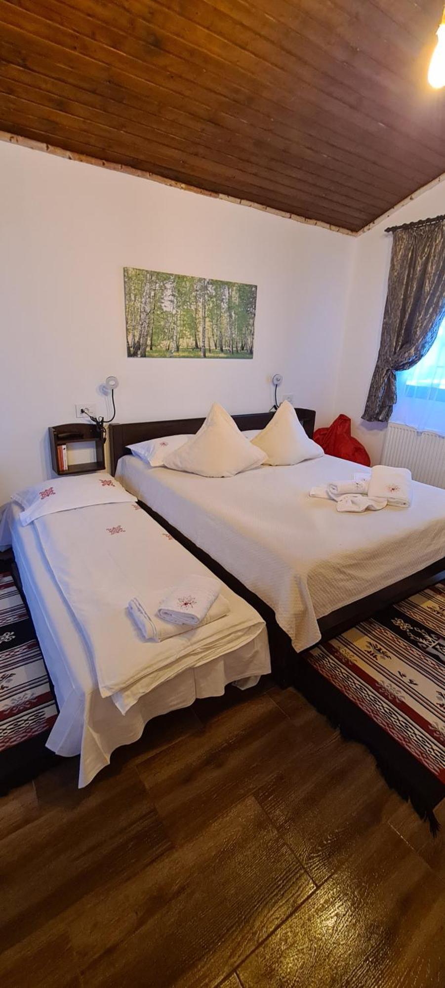 Rîşnov Cabana Bujor De Munte מראה חיצוני תמונה