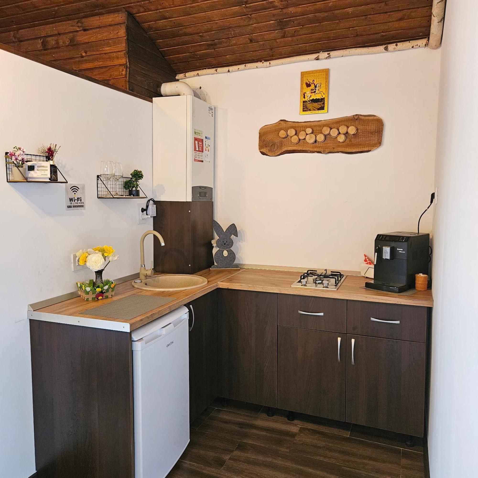 Rîşnov Cabana Bujor De Munte מראה חיצוני תמונה